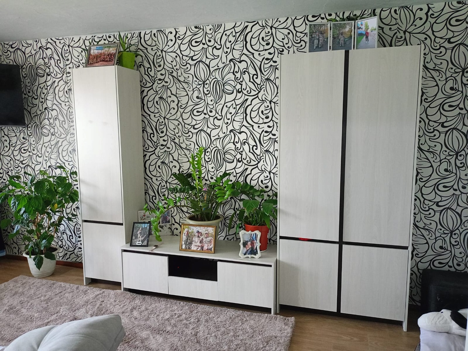 Модульная гостиная Бостон Анкор светлый / Венге