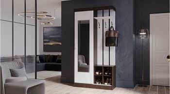 Прихожая купе Бриз Венге / Анкор светлый