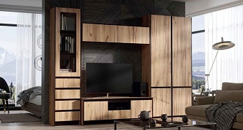 Модульная гостиная Бостон Дуб вотан / Венге