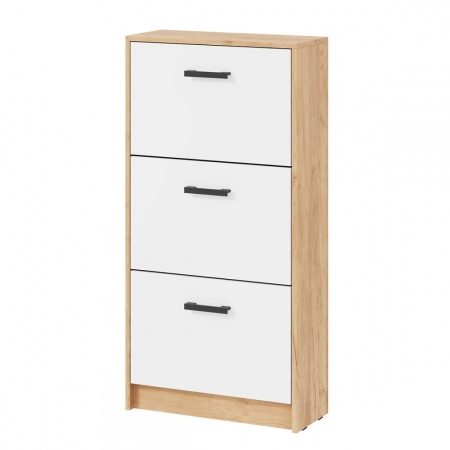 мс для прихожей Вега ОБ-2 СНЯТО С ПРОИЗВОДСТВА/Дуб Крафт золотой / Белый